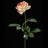 Plastic Rose Flower (PO043-28S)