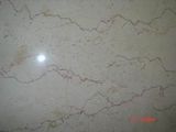 Marble Shell Beige Stone
