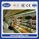 Single Door Refrigeration Freezer for Cold Store