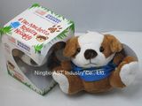 Plush Toy, Stuffed Toy, Recordable Stuffed Toy