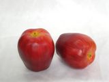 Styrofoam Fruit (072056)