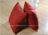 China Professional Pillow Pillow Shell Wholesalers Pillow
