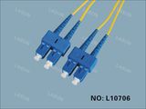 Indoor Fiber Optic Patch Cord with Connector (L10706)