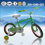 Child Bike with Training Wheel 16