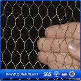 Hot Dipped Galvanized Hexagonal Wire Netting