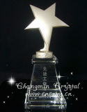 Tr098 Crystal Trophy for Souvenir