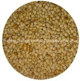 Yellow Broom Corn Millet (Shanxi)