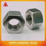 Hex Nut