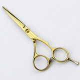 028-G Golden Titanium Scissors