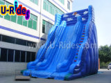 Blue Giant Inflatable Slide for Playground
