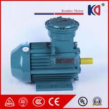 Single Phase AC Induction Electric 380V Motor