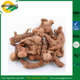 Chinese Food Condiments/Galangal Powder/Galangal Powder Used in Curry