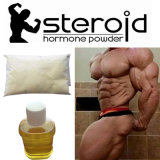 Factory Direct Steroid Hormone Trenbolone Enanthate/No Ester 10161-33-8