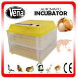 Excellent Quality! Professional & Energy-Saving Digital Egg Incubator Used Va-96 Holding 96 Eggs