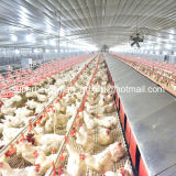 Full Set Automatic Poultry Equipment for Poultry Farm House