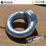 Zinc Plated Drop Forged Steel DIN 582 Eye Nut