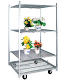 A50 Australian Market Hoticultural Center Flower Plant Display Cart, Flower and Plant Nursery Trolley