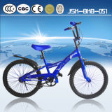King Cycle 6-10 Years Old Children Bike for Boy Direct From Topest Factory