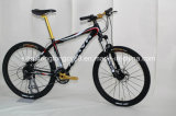 Black Good Quality Bicycle with Comfort Saddle (SH-AMTB005)