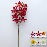 Orchid Flower Decoration