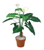 Artificial Plants and Flowers of Calla Lily 11 Lvs 3 Flowers