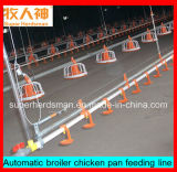 Poultry Breeding Equipment with Full Set Configuration