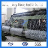 Security and Practical Hexagonal Wire Mesh