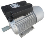 Yl Series CE Approval AC Motor, Electric AC Motor