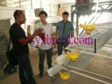Egg Laying Hen Battery Cage (A3L120)
