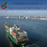 Sea Shipping From China to Katowice Poland