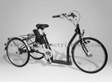 China Electric Tricycle (SL-110)