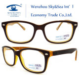 2015 Spectacles Frame Acetate Eyewear Optical (HM295)