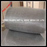 Oil Filter Wire Mesh