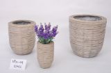 Willow Products Flowerpot