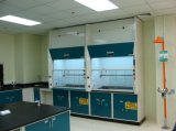 2014 New More Space for Work 5 Years Warranty Laboratory Fume Hood