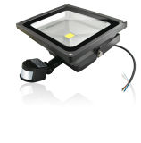 Sensor Bridgelux LED 30W Floodlight