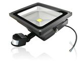 Sensor Bridgelux LED 30W Floodlight