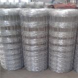 Best Price Galvanized Livestock Fence Mesh