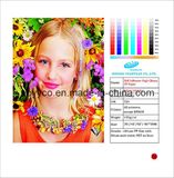 Self Adhesive High Glossy PP Paper