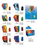 Kite