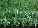 Artificial Grass