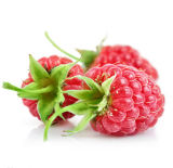 Raspberry Ketone, Health Food Raspberry Ketone Powder