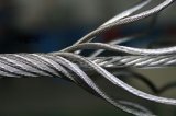 7x7 Stainless Steel Wire Rope