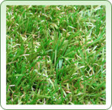 Playground Artificial Grass (OG-10)