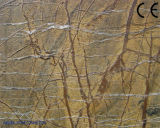 Discount Rain Forest Green Marble Tiles for Flooring/Wall