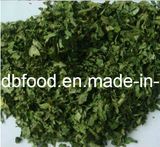 Dehydrated Celery Leaves