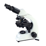 Biological Microscope (XSZ-500