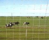 Prairie Fence for Livestock Breeding