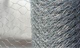 Hexagoanl Wire Netting