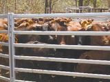 Galvanzied Livestock Panels/ Horse Fence Gate